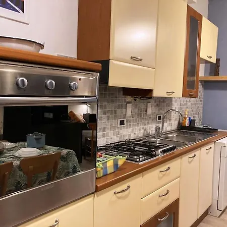 Bolognina Fiera-auditorium-stazione *