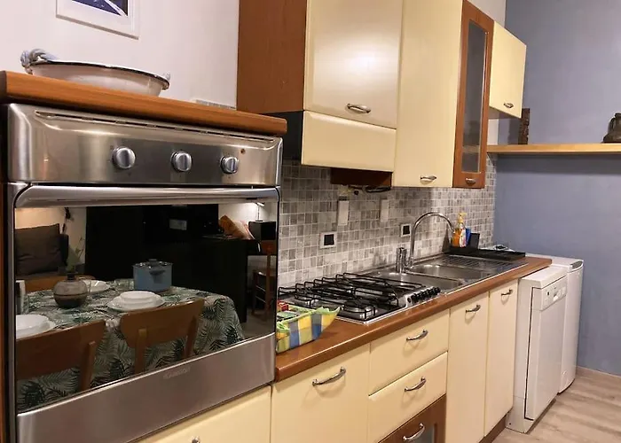 Bolognina Fiera-auditorium-stazione *